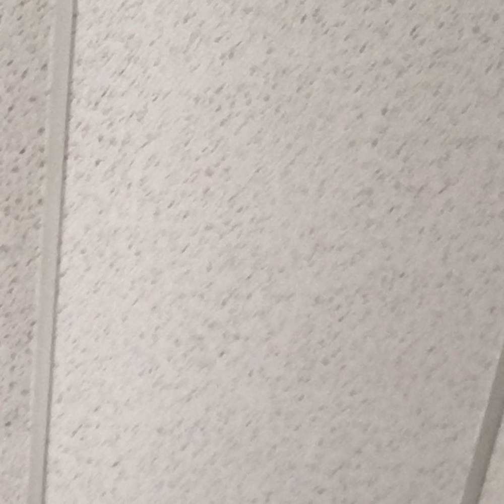 Meet your Posher, Callie